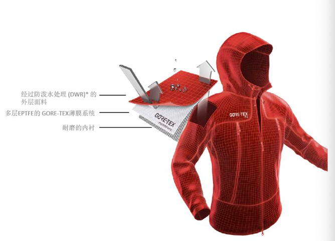 戈尔的秘方 公司 第4张