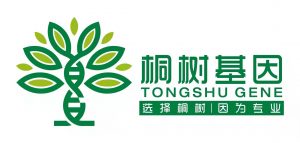 111111111  第1张