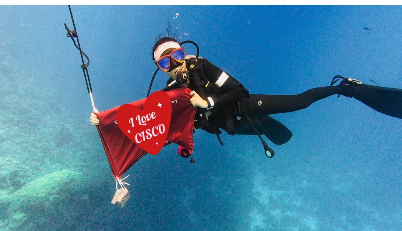 思科房晓曦:AI 时代的企业与个人成长答案 人物 第2张-数字商业时代